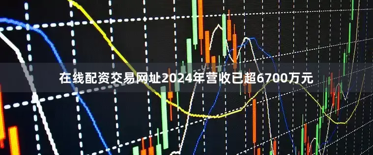在线配资交易网址2024年营收已超6700万元