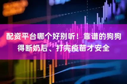 配资平台哪个好别听！靠谱的狗狗得断奶后、打完疫苗才安全